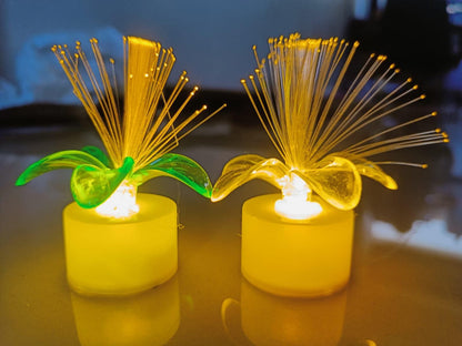 Home Decoration Lights for Diwali & Christmas (Pack of 2)