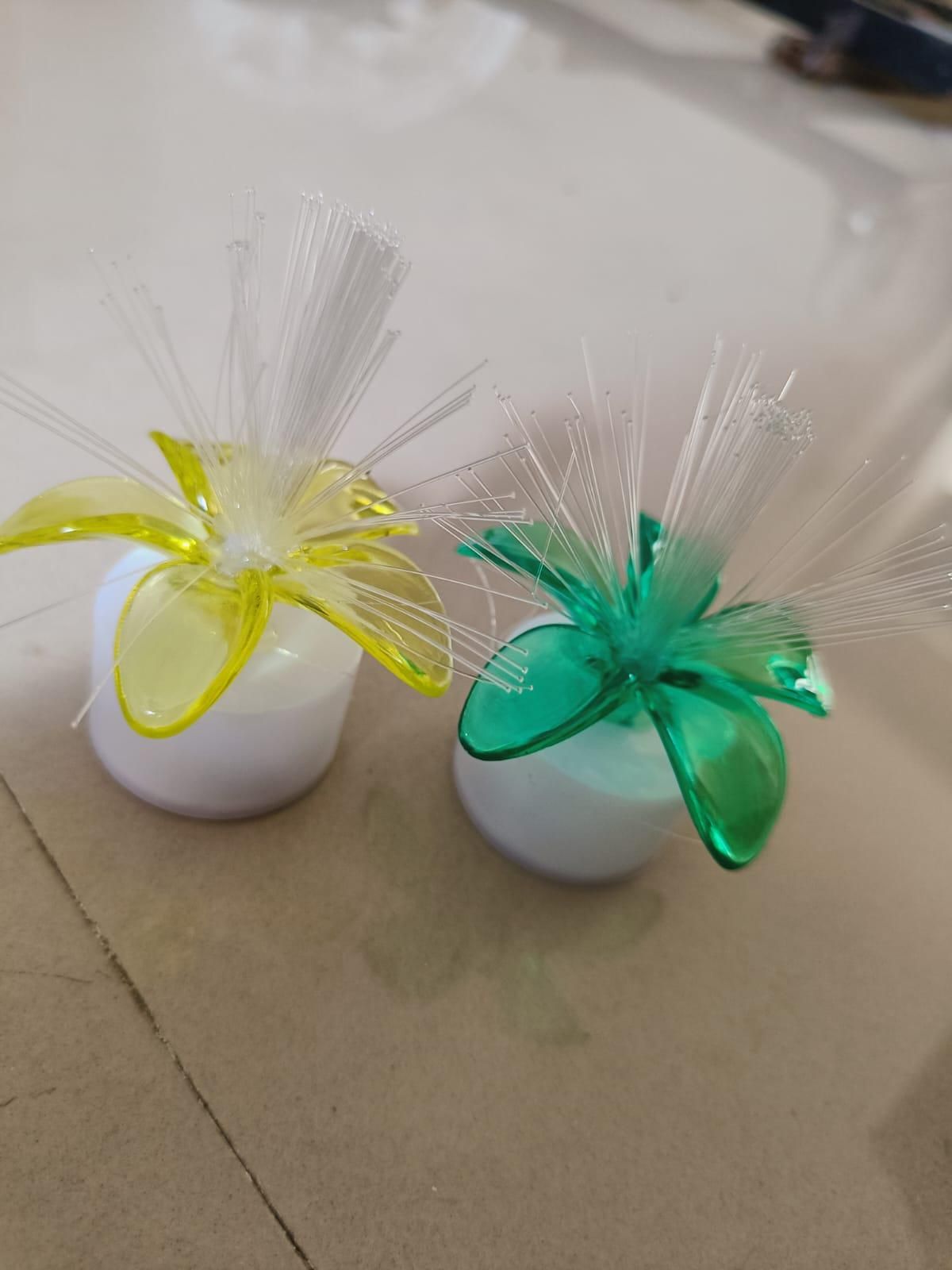 Home Decoration Lights for Diwali & Christmas (Pack of 2)