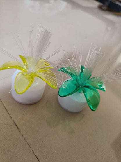 Home Decoration Lights for Diwali & Christmas (Pack of 2)