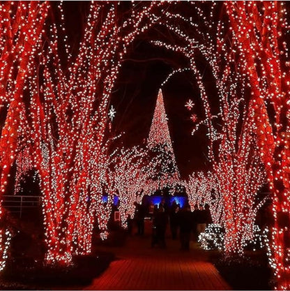 String LED Fairy Lights - Perfect for Indoor , Outdoor, Home, Diwali, and Christmas Decorations (20 Meters)